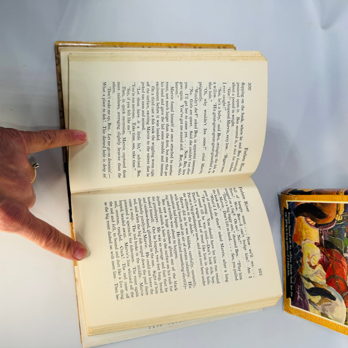 Vintage Zane Grey Western Books Set Forlorn River and The Hash Knife Outfit