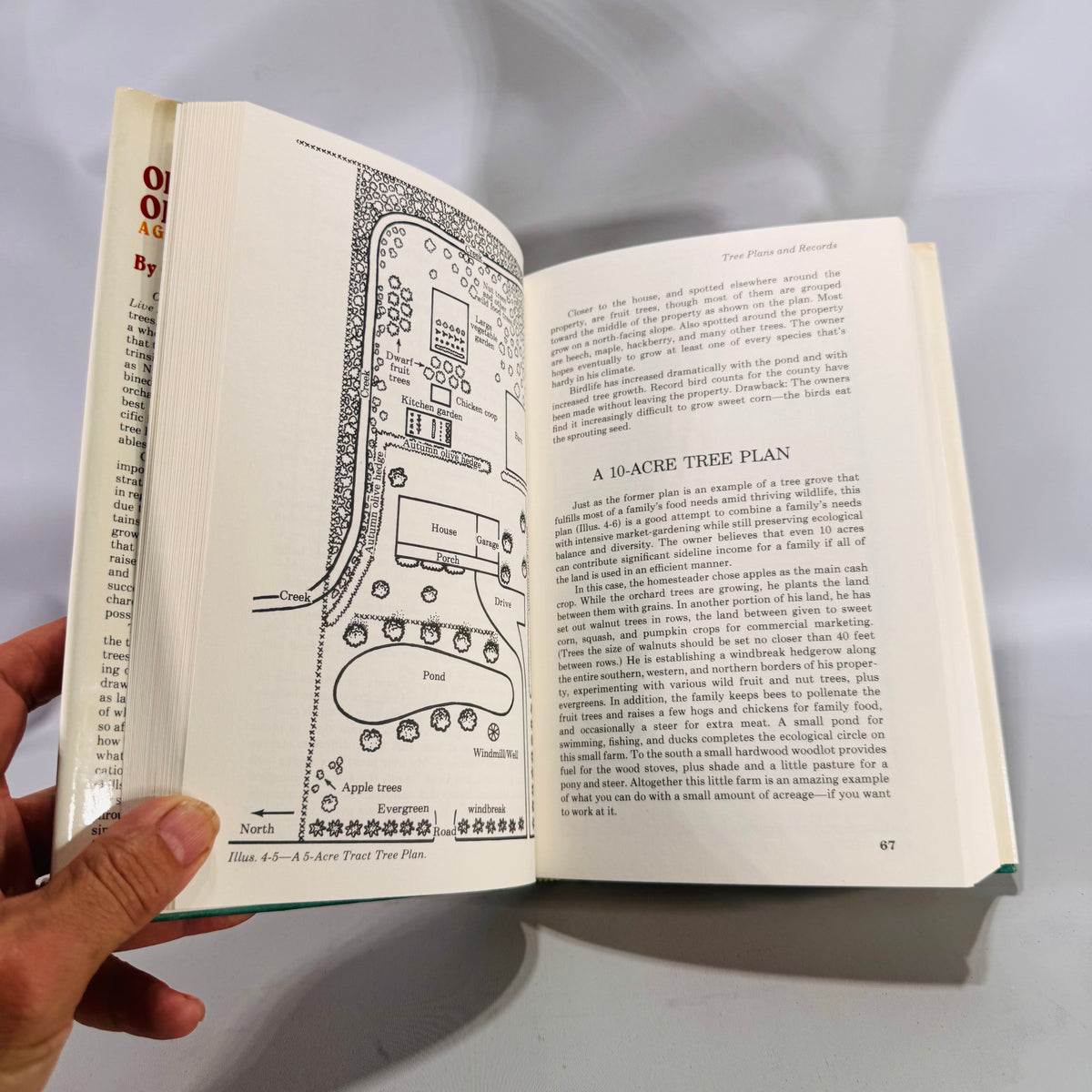 Organic Orchard­ing: A Grove of Trees to Live In (1981) — Gene Logsdon | Illustrated Sustainable Agriculture, Gardening & Homesteading, Nature Reference