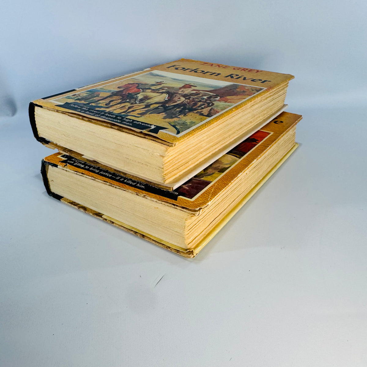 Vintage Zane Grey Western Books Set Forlorn River and The Hash Knife Outfit