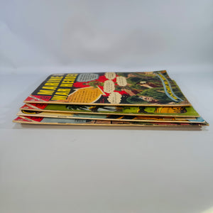 Vintage Charlton War Comics Bundle Marine War Heroes War Heroes Battlefield Action 1966 1967 1981