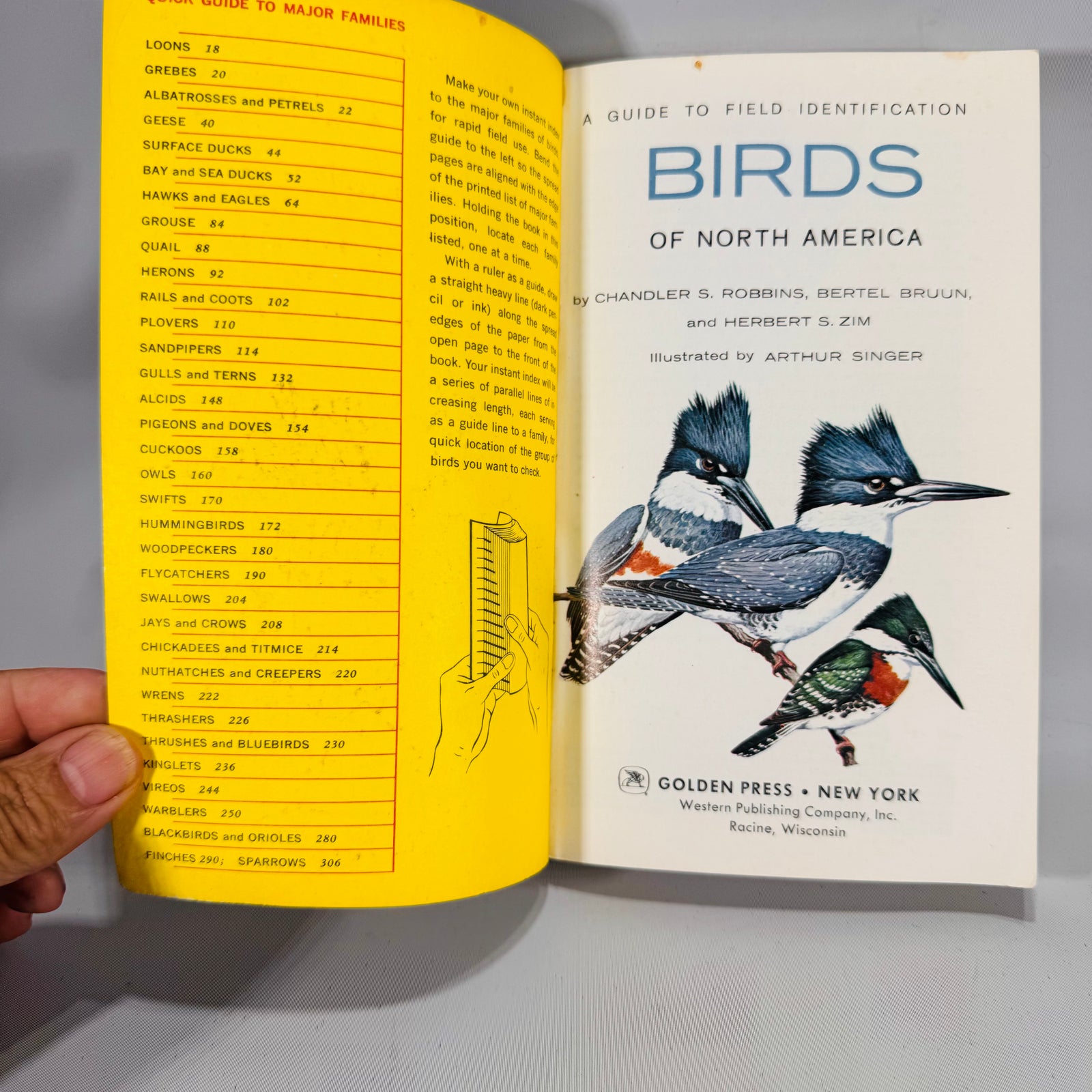 Birds of North America (1966) — Robbins, Bruun & Zim; Illus. Arthur Singer | Golden Press Paperback, Ornithology Field Guide • Natural History