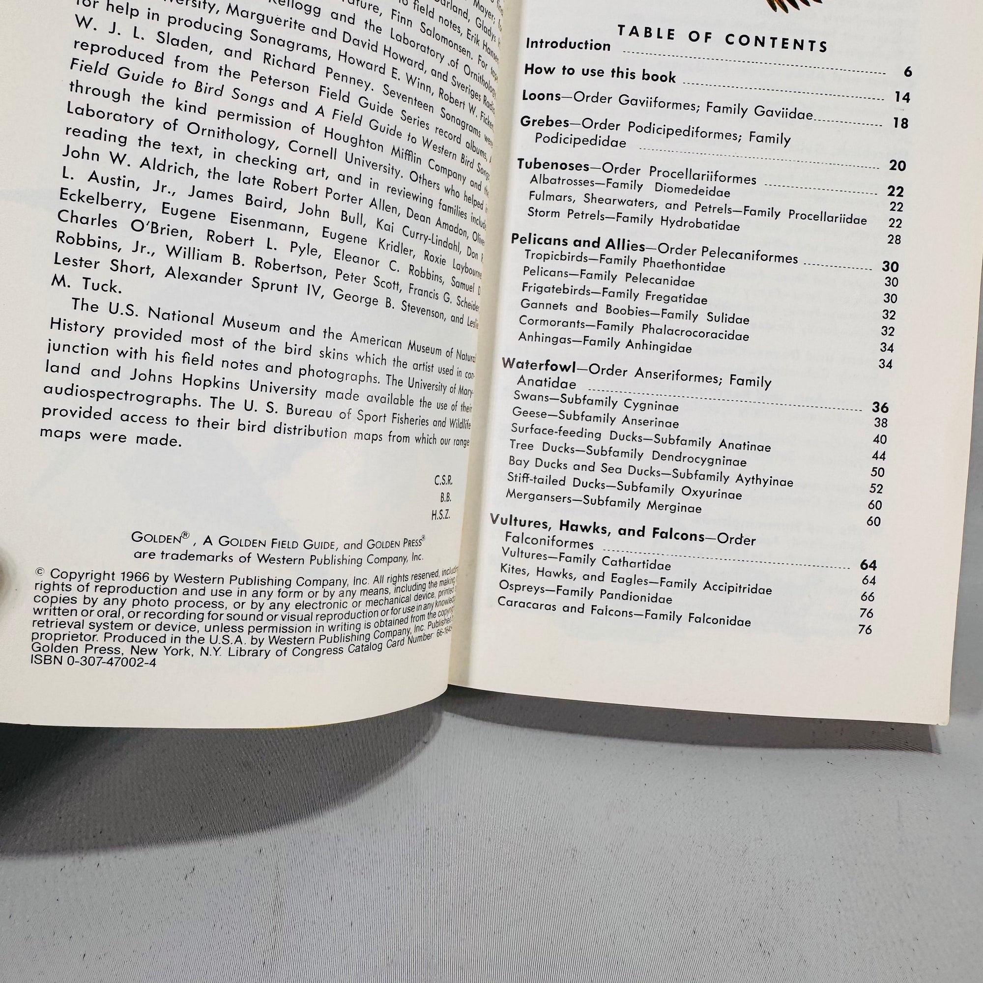 Birds of North America (1966) — Robbins, Bruun & Zim; Illus. Arthur Singer | Golden Press Paperback, Ornithology Field Guide • Natural History