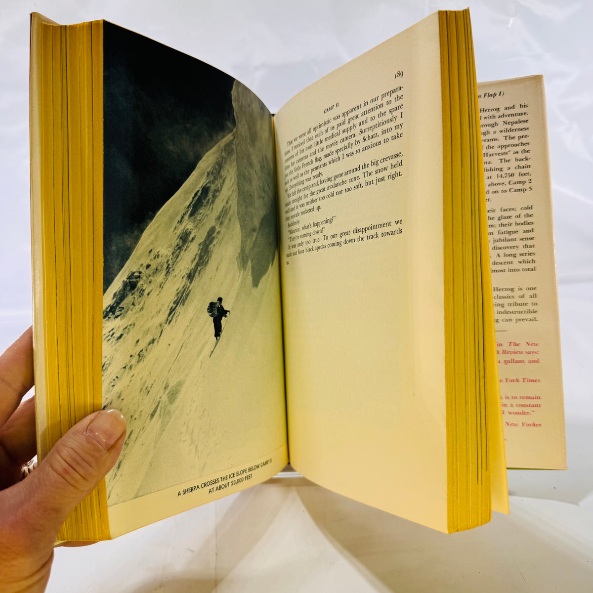 Annapurna: First Conquest of an 8000-Meter Peak by Maurice Herzog (1952), Hardcover with Dust Jacket
