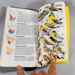 Birds of North America (1966) — Robbins, Bruun & Zim; Illus. Arthur Singer | Golden Press Paperback, Ornithology Field Guide • Natural History