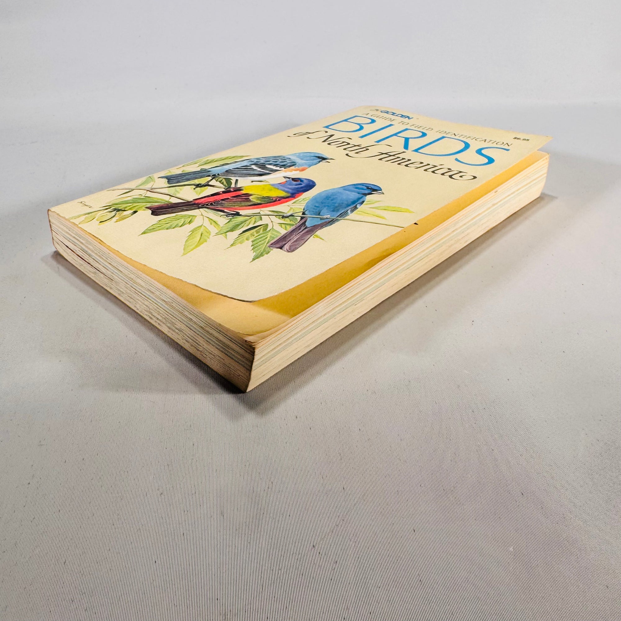 Birds of North America (1966) — Robbins, Bruun & Zim; Illus. Arthur Singer | Golden Press Paperback, Ornithology Field Guide • Natural History