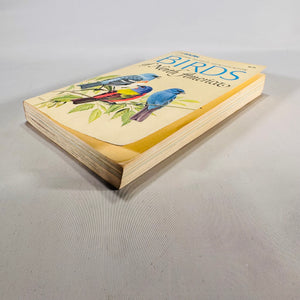 Birds of North America (1966) — Robbins, Bruun & Zim; Illus. Arthur Singer | Golden Press Paperback, Ornithology Field Guide • Natural History
