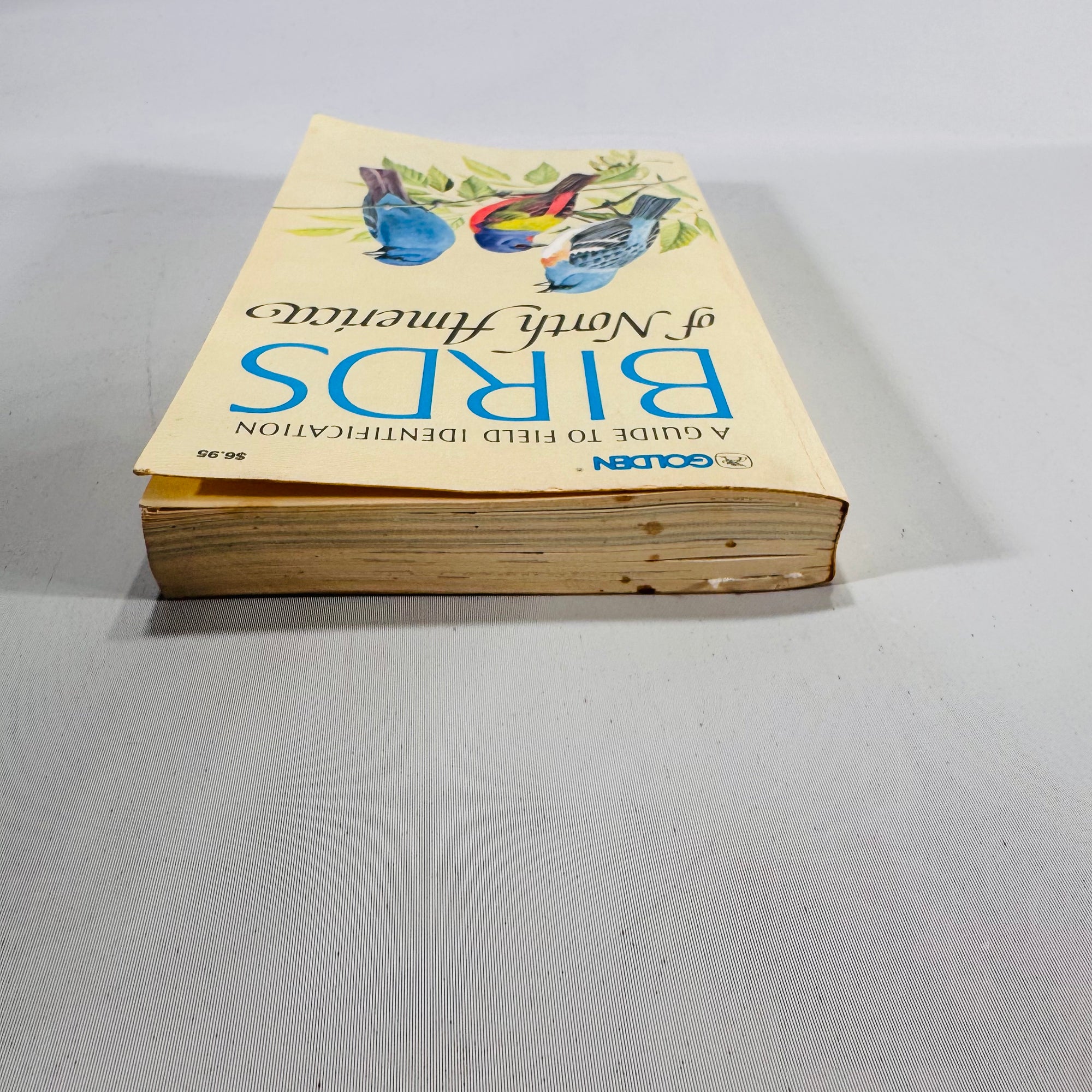 Birds of North America (1966) — Robbins, Bruun & Zim; Illus. Arthur Singer | Golden Press Paperback, Ornithology Field Guide • Natural History