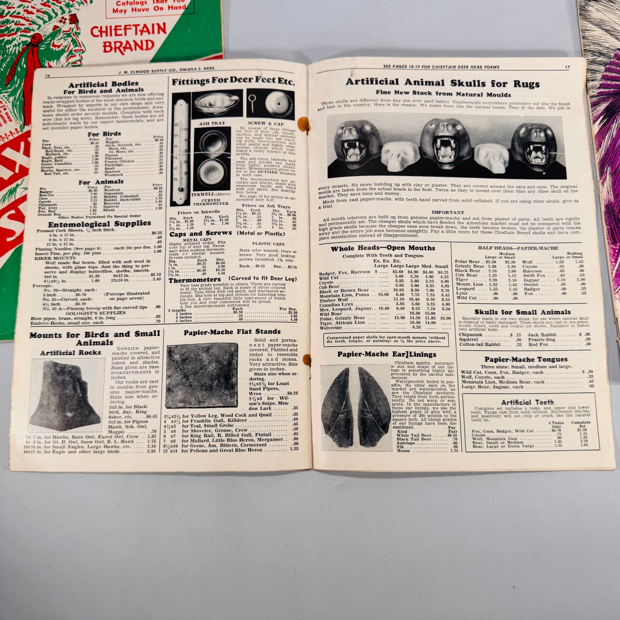 Taxidermy Supply Catalogs (Set of 3, 1970s) — J.W. Elwood Supply Co., Omaha | Trade Catalogs, Outdoors Vintage Sporting Ephemera