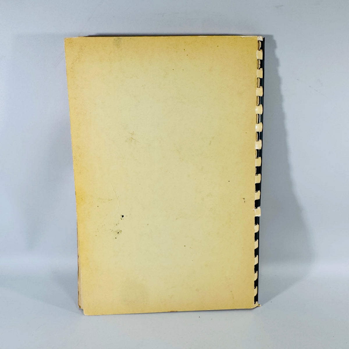 Vintage Church Cookbook Palmer Michigan Concordia Lutheran Church Recipe Book