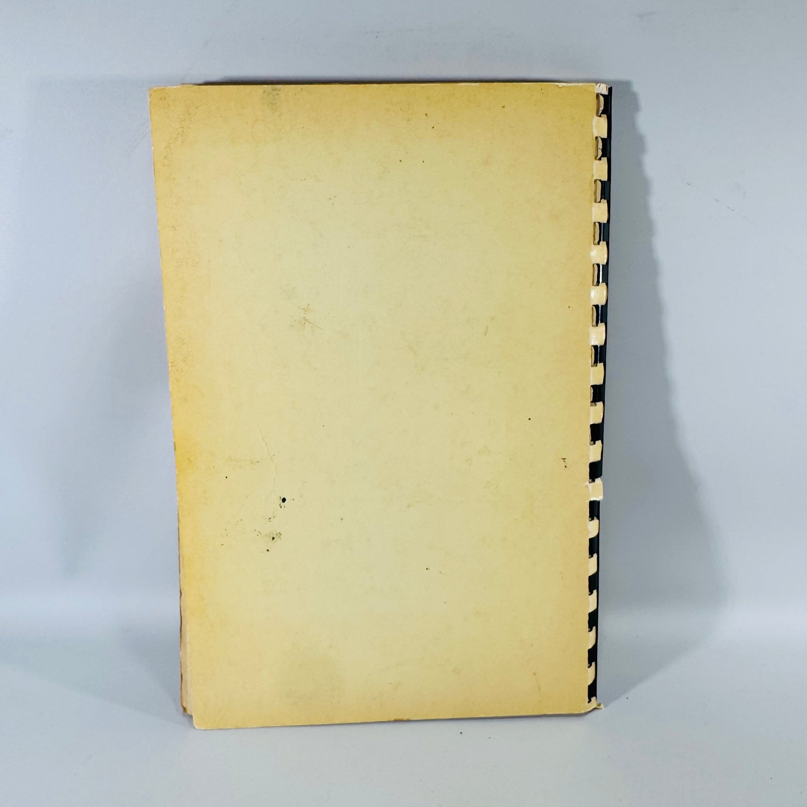Vintage Church Cookbook Palmer Michigan Concordia Lutheran Church Recipe Book