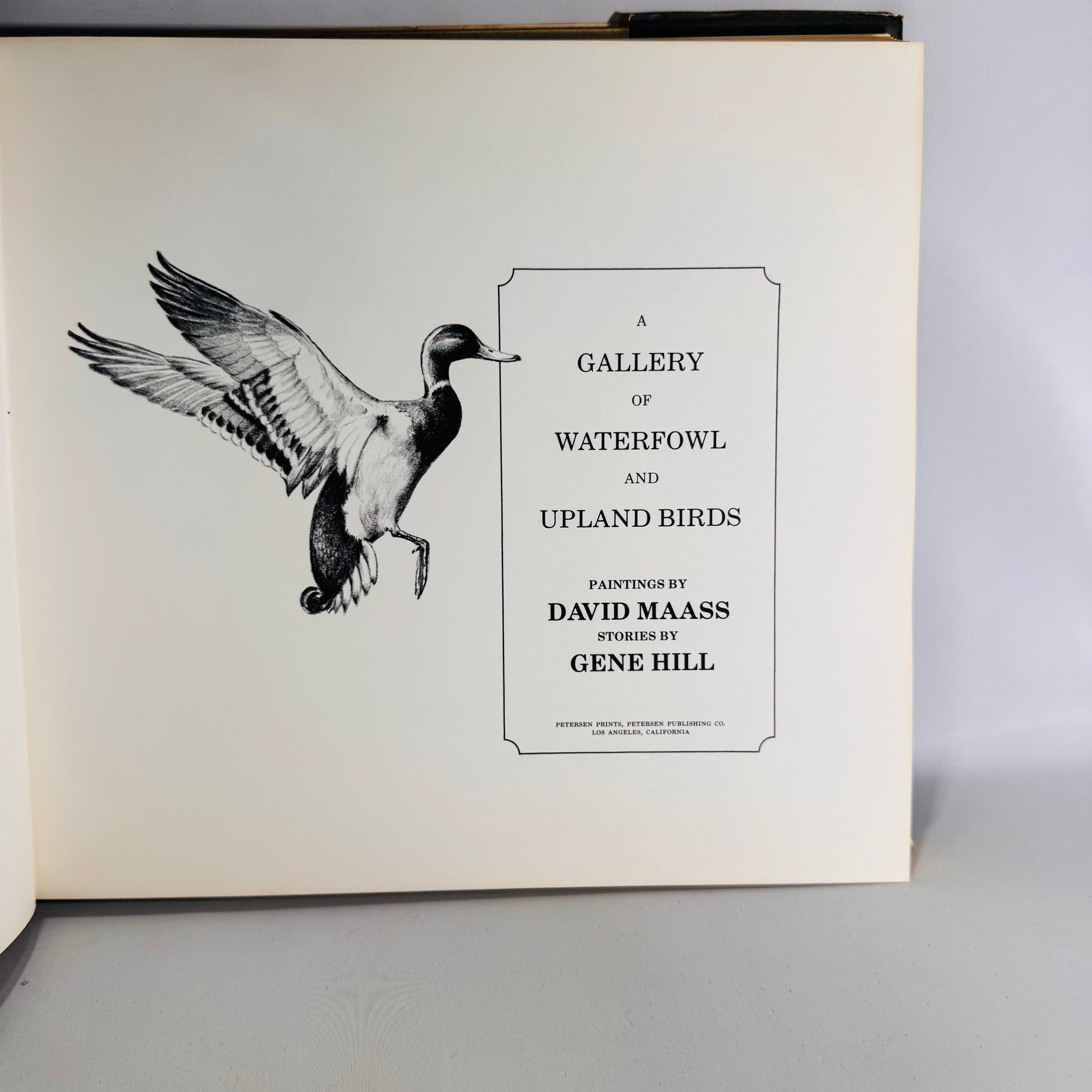 Sporting Essays & Wildlife Art — A Gallery of Waterfowl and Upland Birds (1978) — David Maass & Gene Hill | Color Plates, Sporting Essays