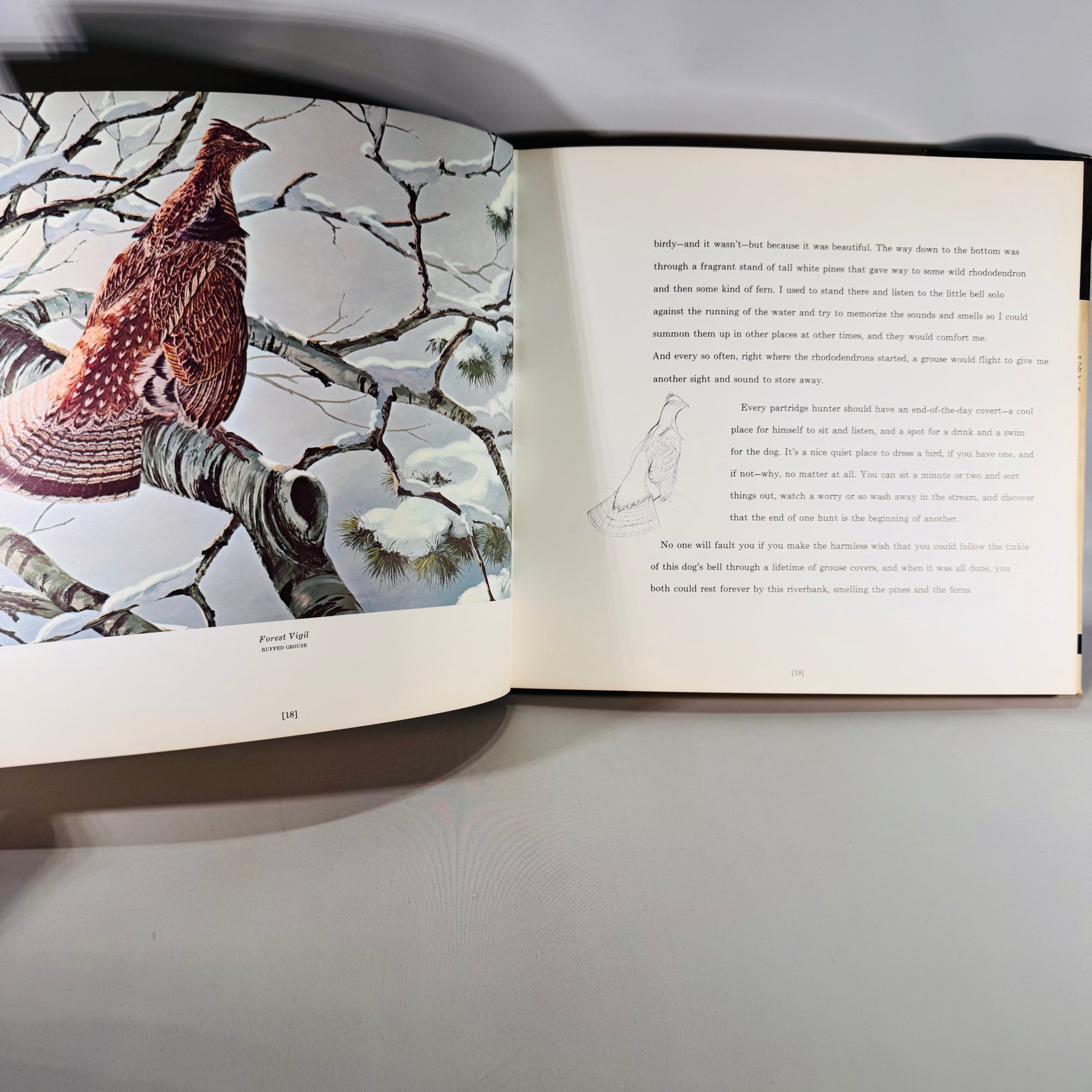 Sporting Essays & Wildlife Art — A Gallery of Waterfowl and Upland Birds (1978) — David Maass & Gene Hill | Color Plates, Sporting Essays