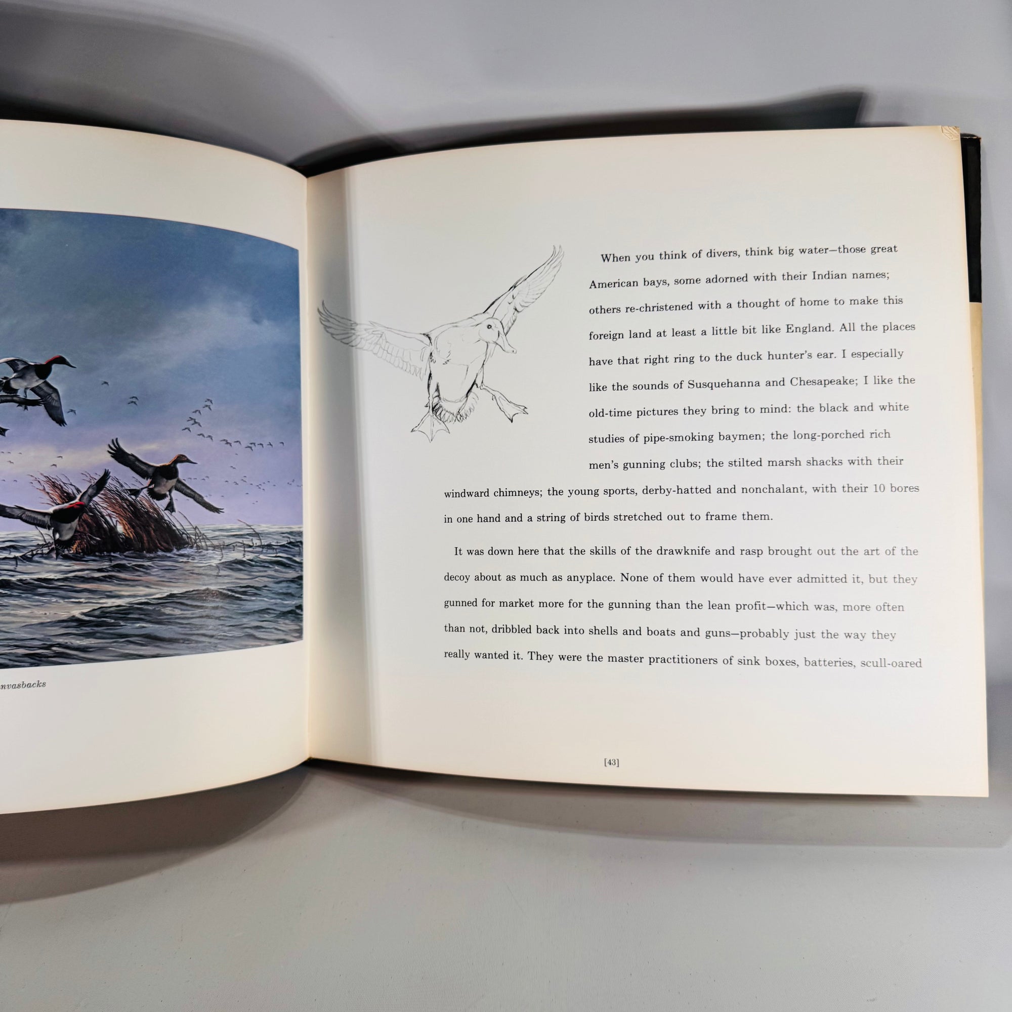 Sporting Essays & Wildlife Art — A Gallery of Waterfowl and Upland Birds (1978) — David Maass & Gene Hill | Color Plates, Sporting Essays