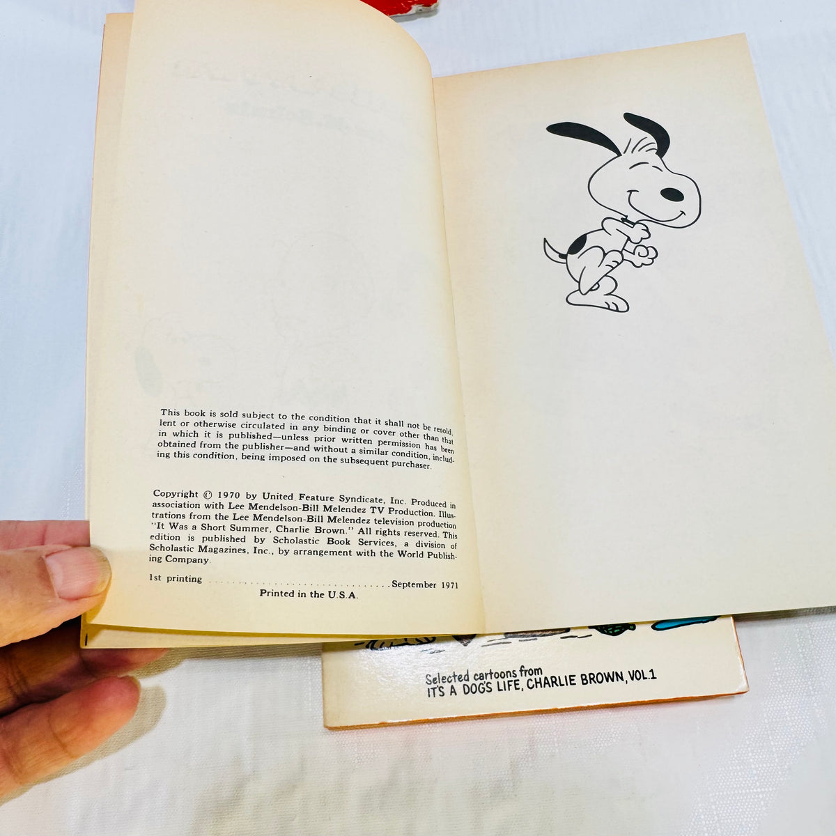 A Boy Named Charlie Brown, It Was a Short Summer & This Is Your Life Peanuts Lot of 3 by Charles M. Schulz