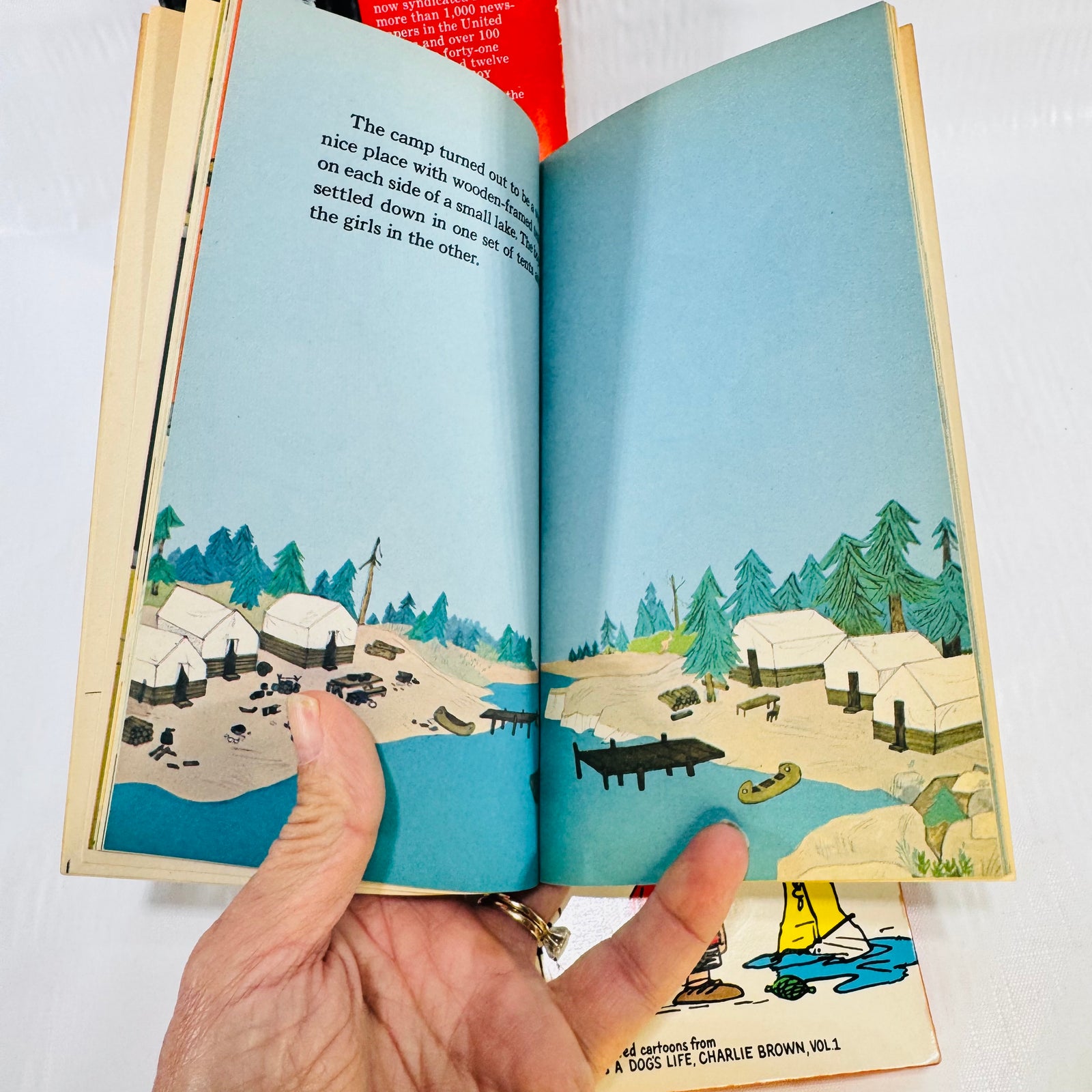 A Boy Named Charlie Brown, It Was a Short Summer & This Is Your Life Peanuts Lot of 3 by Charles M. Schulz