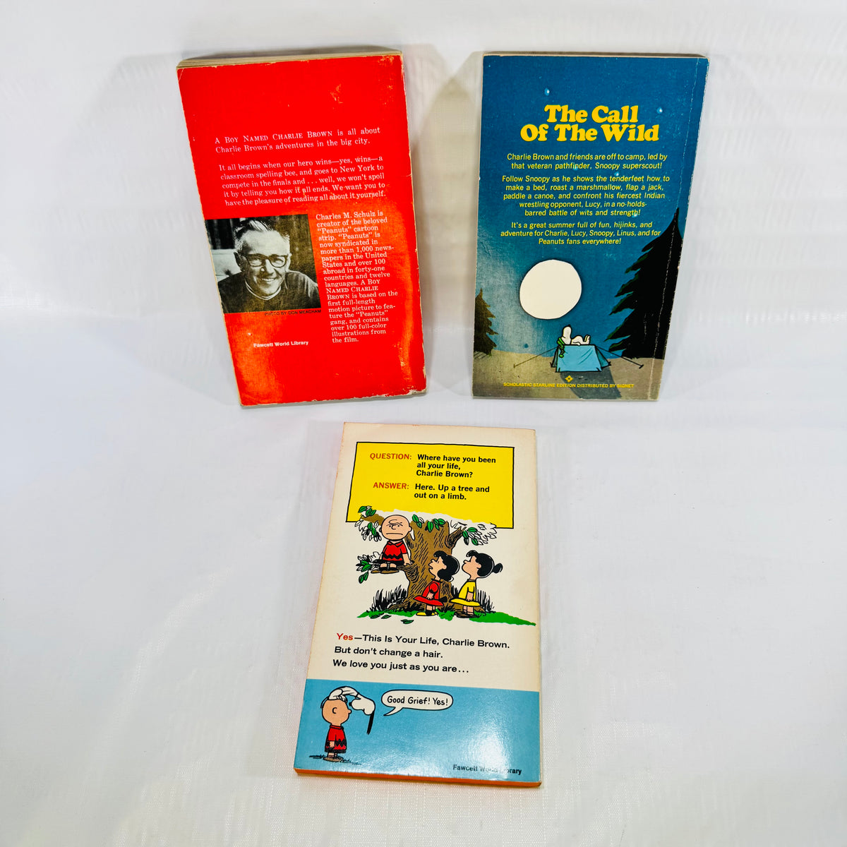 A Boy Named Charlie Brown, It Was a Short Summer & This Is Your Life Peanuts Lot of 3 by Charles M. Schulz
