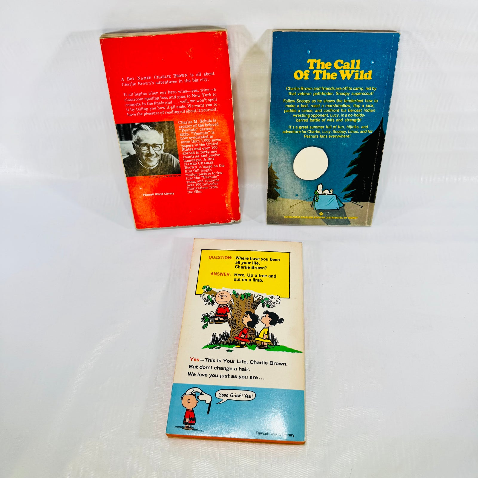 A Boy Named Charlie Brown, It Was a Short Summer & This Is Your Life Peanuts Lot of 3 by Charles M. Schulz