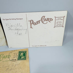 Vintage Thanksgiving Postcards Lot of 6 | Antique Edwardian Turkey Holiday Postcard Collection | Harvest Turkeys Pumpkin Proclamation 1908–1911