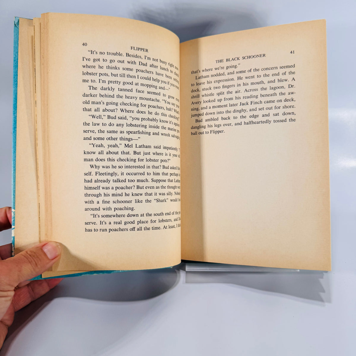 Children’s Adventure Fiction — Flipper: The Mystery of the Black Schooner (1966) — Richard Hardwick | Illustrated Whitman TV Tie-In, Children’s Adventure
