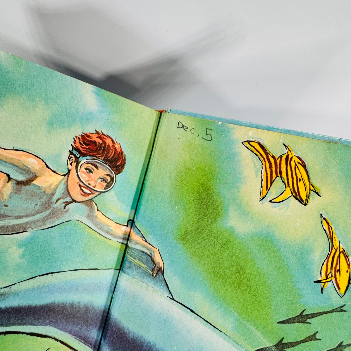 Children’s Adventure Fiction — Flipper: The Mystery of the Black Schooner (1966) — Richard Hardwick | Illustrated Whitman TV Tie-In, Children’s Adventure