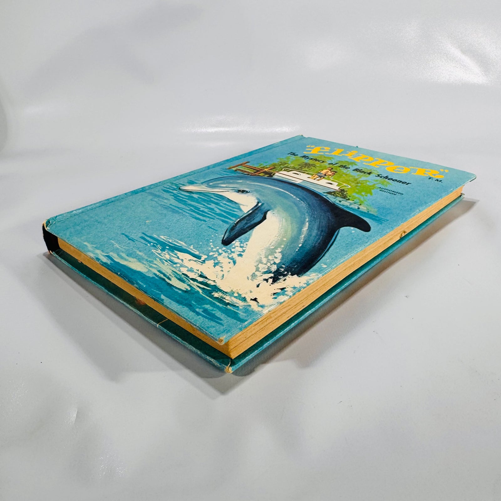 Children’s Adventure Fiction — Flipper: The Mystery of the Black Schooner (1966) — Richard Hardwick | Illustrated Whitman TV Tie-In, Children’s Adventure