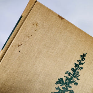 The Tamarack Tree – Howard Breslin | 1947 Vintage Historical Fiction