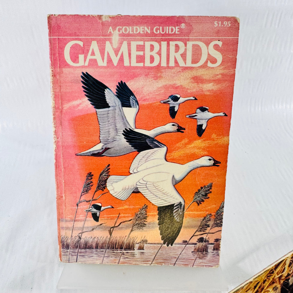 Wildlife Chef Michigan MUCC & Gamebirds Golden Guide Vintage Hunting Cookbook Bundle