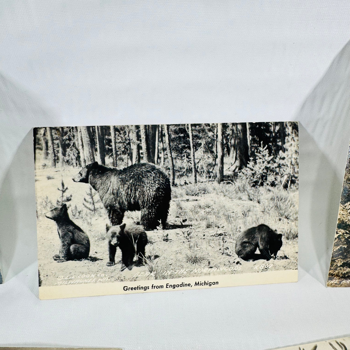 Michigan Postcards 1940s Bundle of 5, Grayling, Engadine, Houghton Lake, Blaney Park