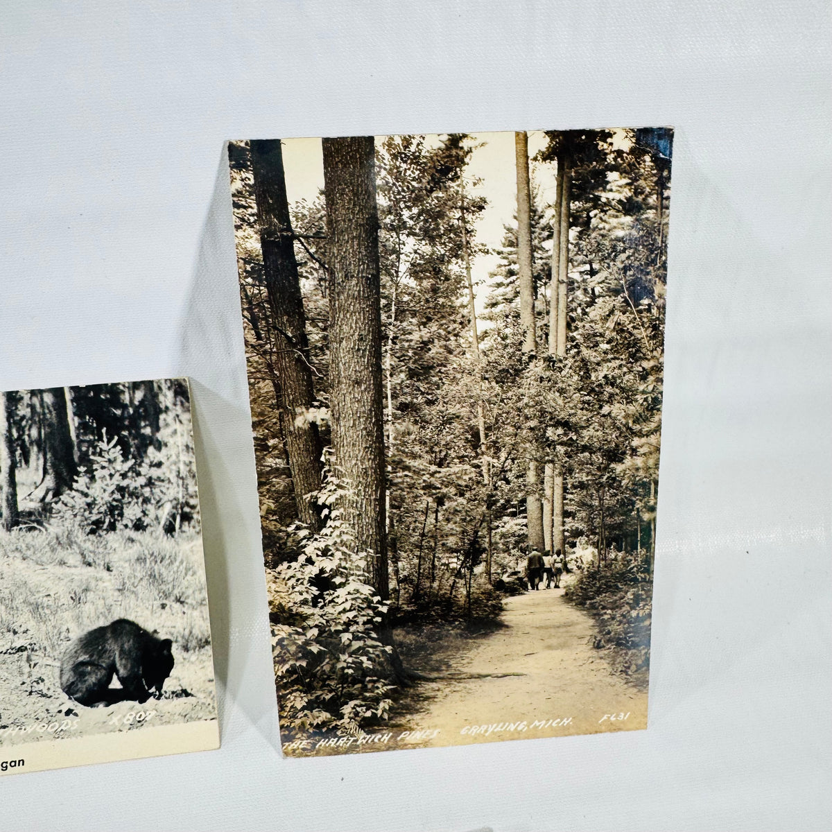 Michigan Postcards 1940s Bundle of 5, Grayling, Engadine, Houghton Lake, Blaney Park