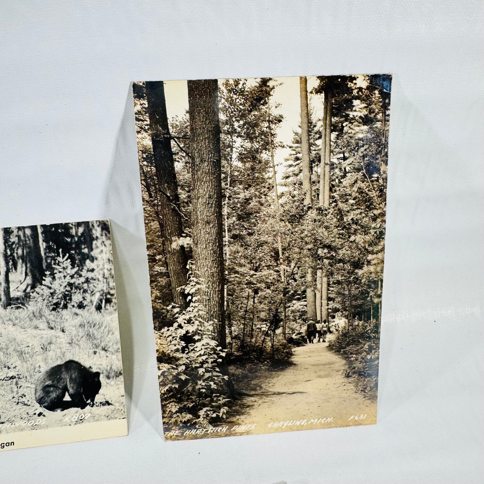 Michigan Postcards 1940s Bundle of 5, Grayling, Engadine, Houghton Lake, Blaney Park