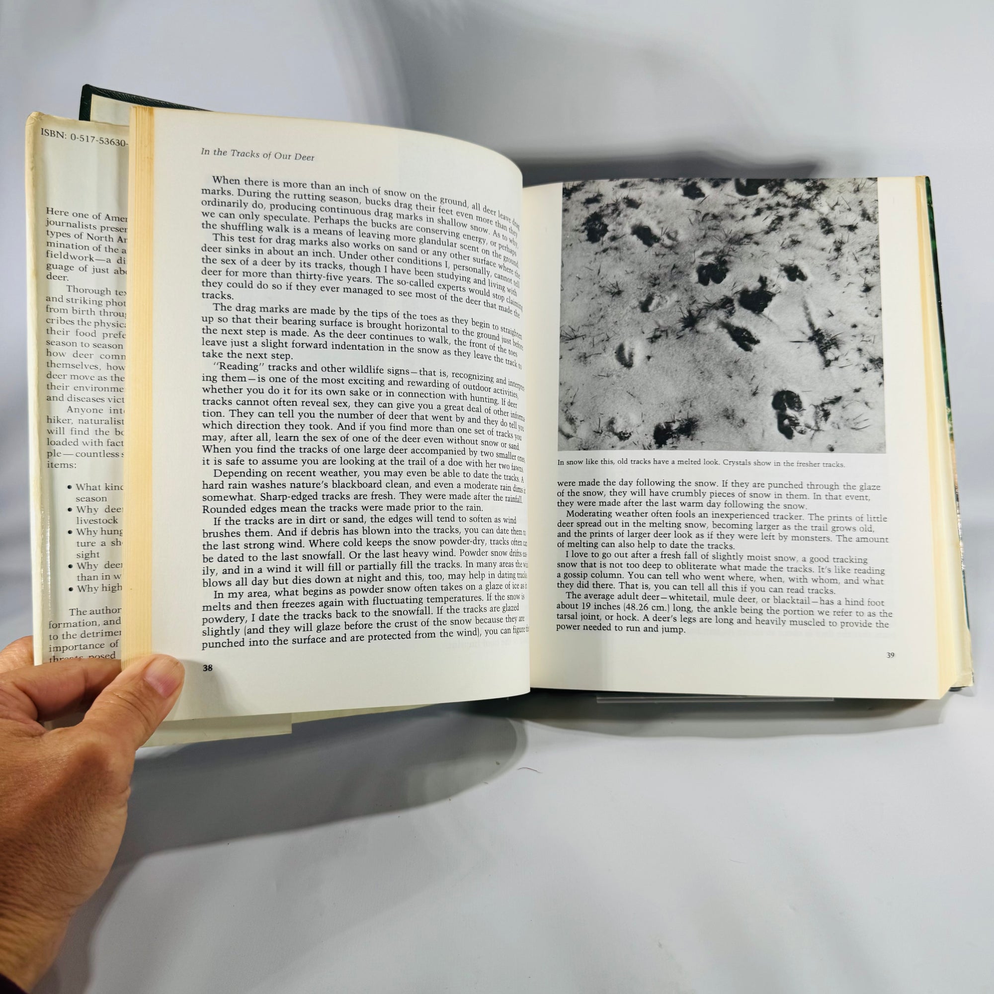 Wildlife Natural History — The Deer of North America (1980, 4th printing) — Leonard Lee Rue III | Illustrated Outdoor Life reference