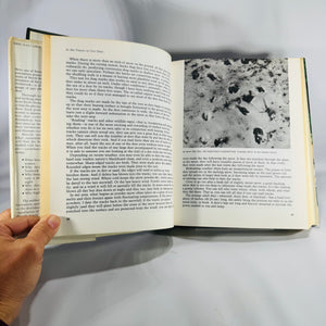 Wildlife Natural History — The Deer of North America (1980, 4th printing) — Leonard Lee Rue III | Illustrated Outdoor Life reference