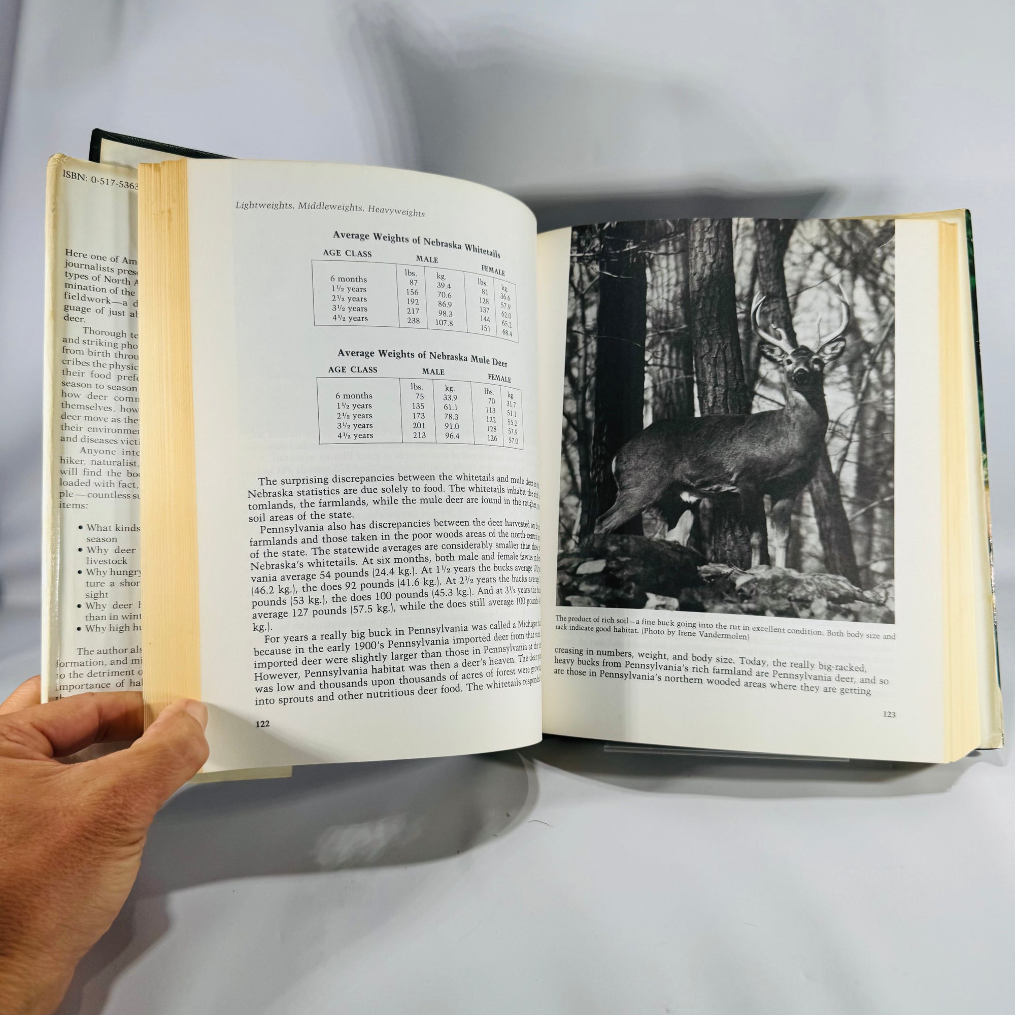 Wildlife Natural History — The Deer of North America (1980, 4th printing) — Leonard Lee Rue III | Illustrated Outdoor Life reference