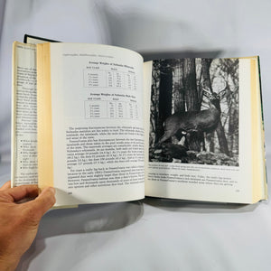 Wildlife Natural History — The Deer of North America (1980, 4th printing) — Leonard Lee Rue III | Illustrated Outdoor Life reference