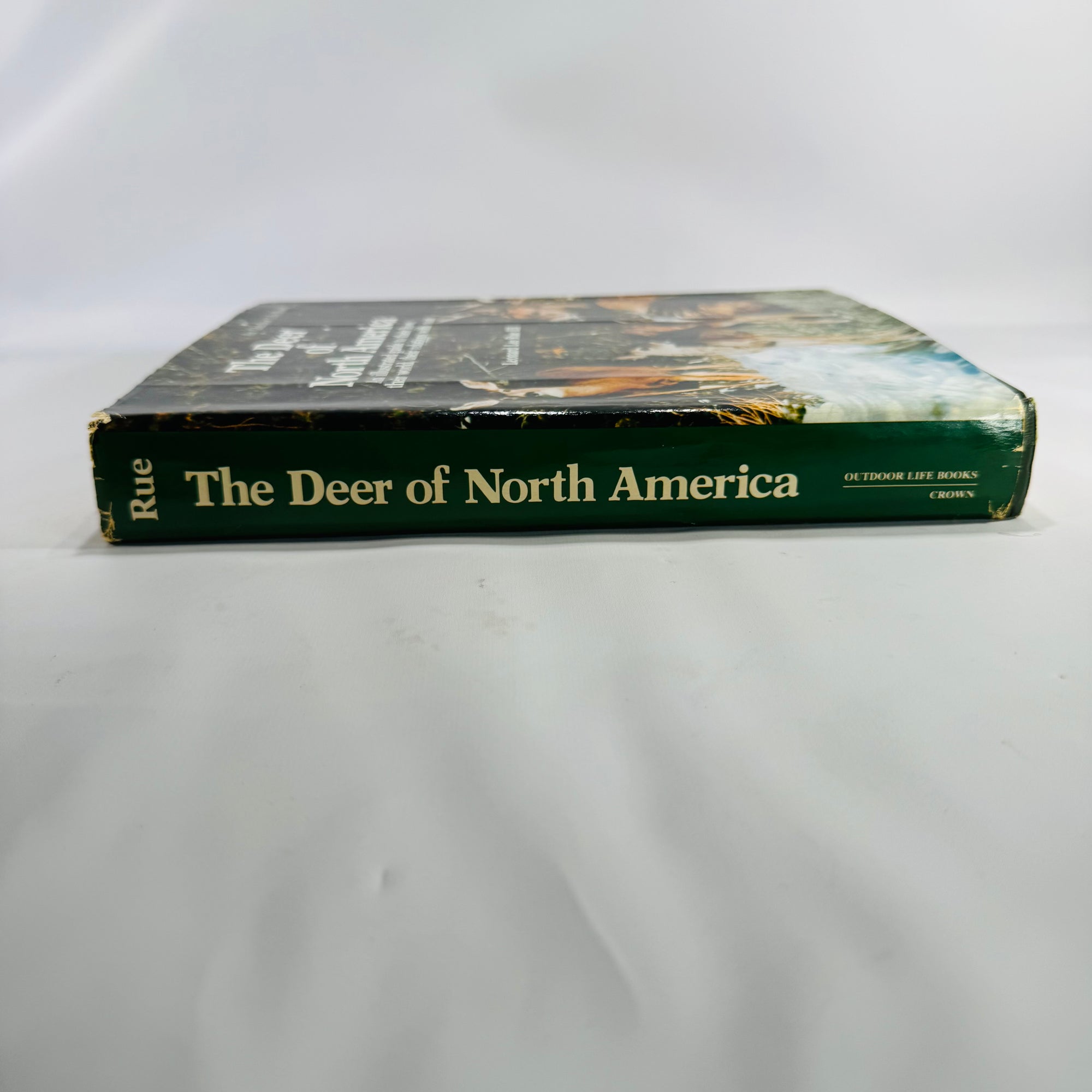 Wildlife Natural History — The Deer of North America (1980, 4th printing) — Leonard Lee Rue III | Illustrated Outdoor Life reference