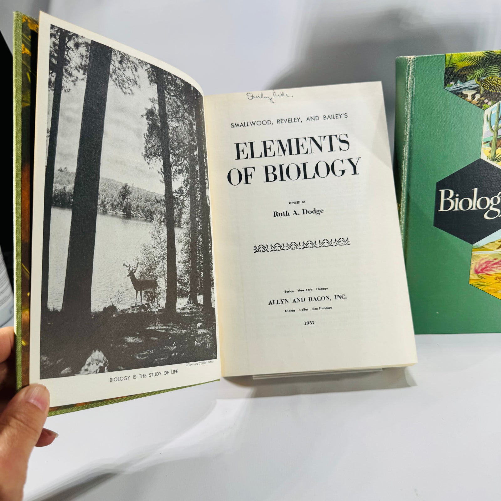 Natural History / Biology Textbook Lot — Elements of Biology (1957) + Biology: The Living World (1968) — Illustrated Hardcovers | Mid-Century Science