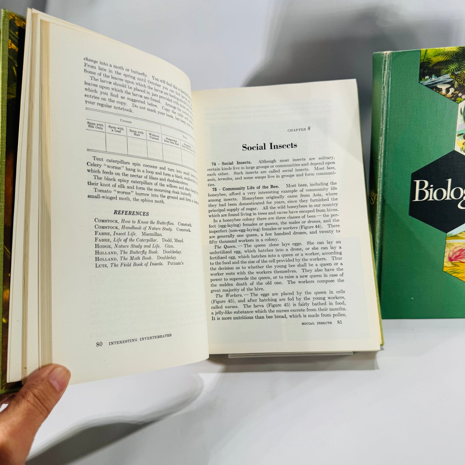 Natural History / Biology Textbook Lot — Elements of Biology (1957) + Biology: The Living World (1968) — Illustrated Hardcovers | Mid-Century Science