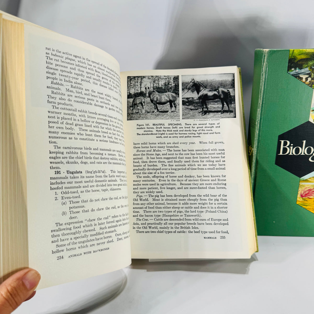 Natural History / Biology Textbook Lot — Elements of Biology (1957) + Biology: The Living World (1968) — Illustrated Hardcovers | Mid-Century Science