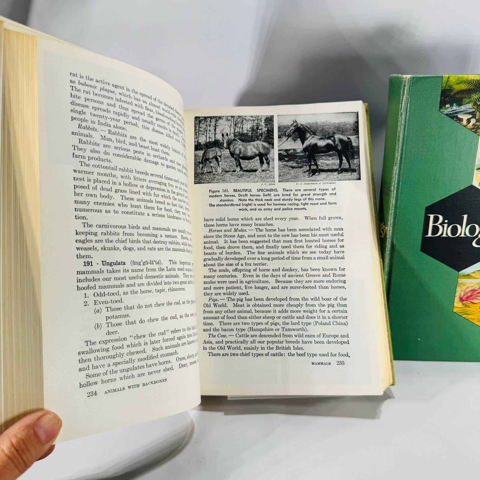 Natural History / Biology Textbook Lot — Elements of Biology (1957) + Biology: The Living World (1968) — Illustrated Hardcovers | Mid-Century Science