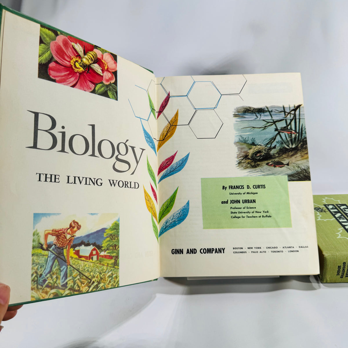 Natural History / Biology Textbook Lot — Elements of Biology (1957) + Biology: The Living World (1968) — Illustrated Hardcovers | Mid-Century Science