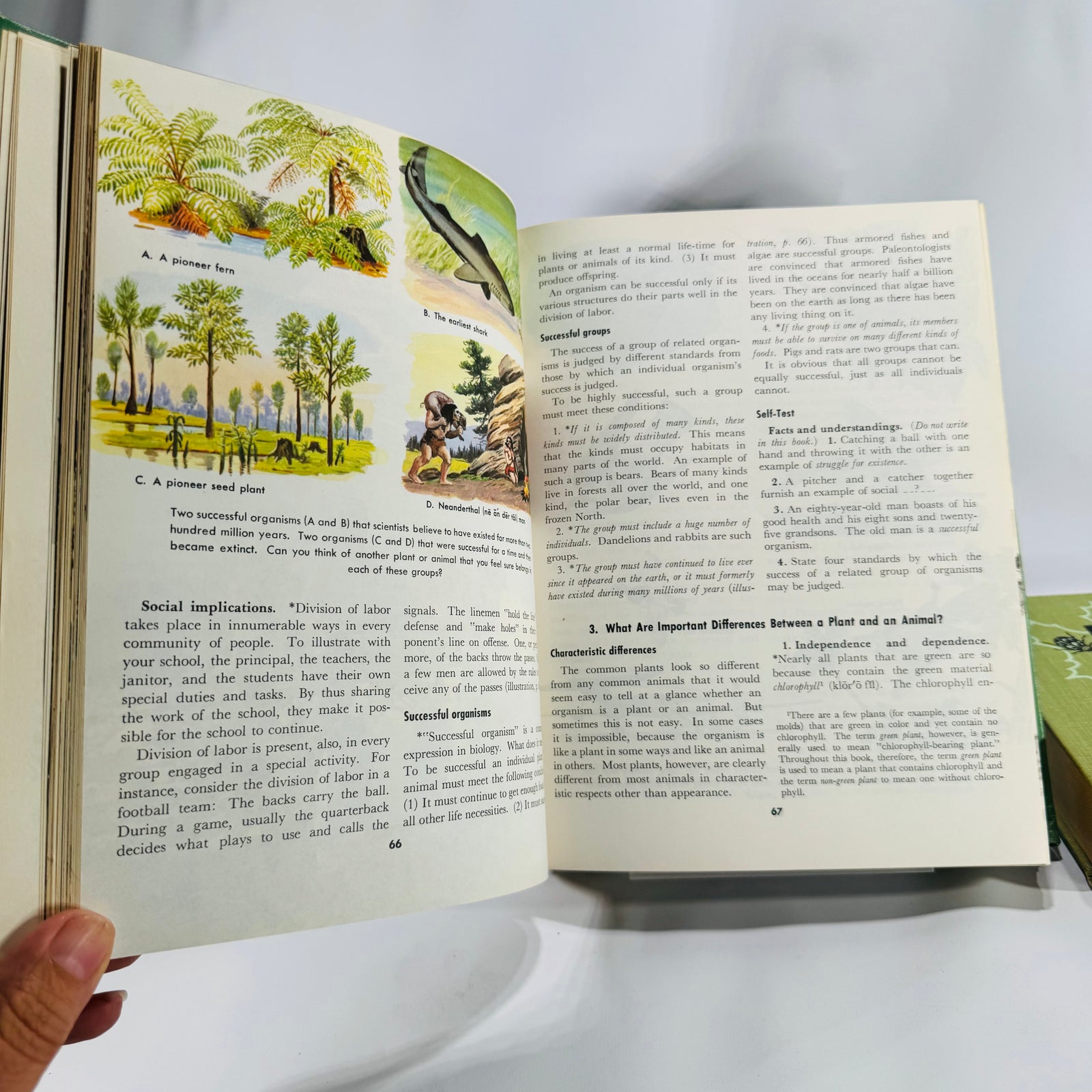 Natural History / Biology Textbook Lot — Elements of Biology (1957) + Biology: The Living World (1968) — Illustrated Hardcovers | Mid-Century Science