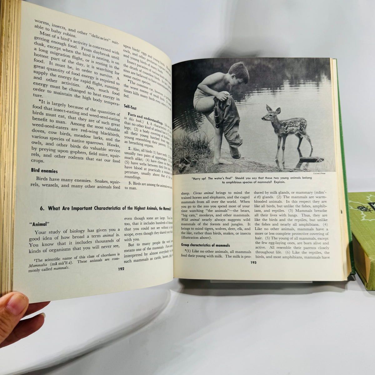 Natural History / Biology Textbook Lot — Elements of Biology (1957) + Biology: The Living World (1968) — Illustrated Hardcovers | Mid-Century Science