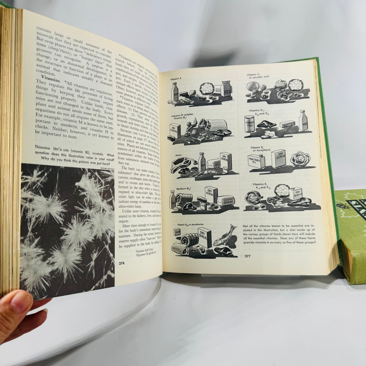 Natural History / Biology Textbook Lot — Elements of Biology (1957) + Biology: The Living World (1968) — Illustrated Hardcovers | Mid-Century Science
