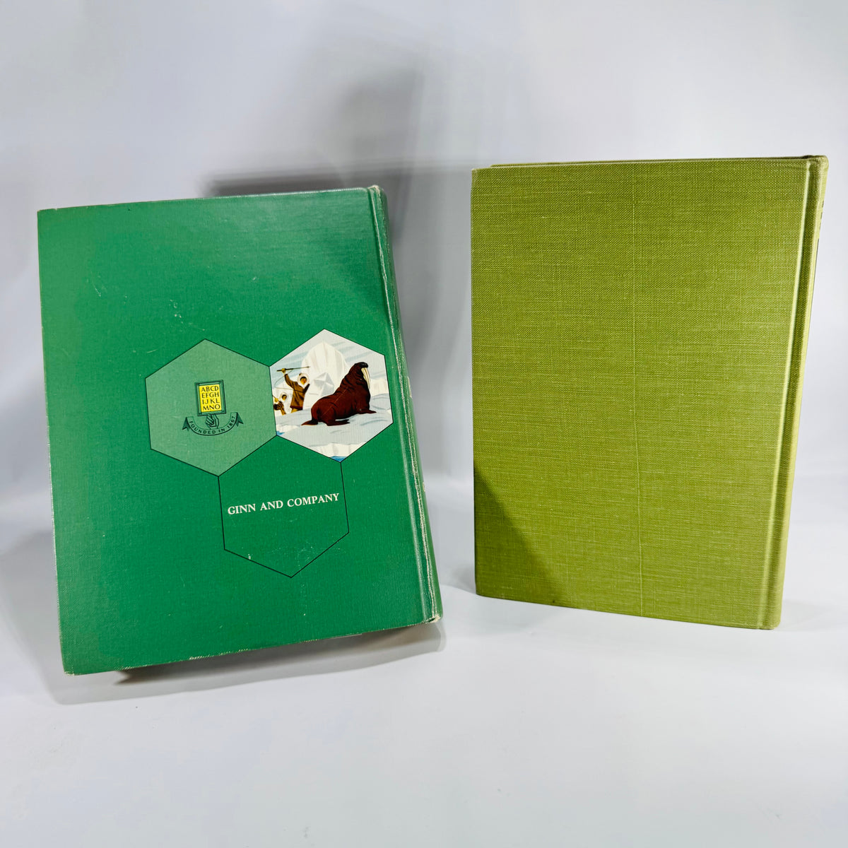 Natural History / Biology Textbook Lot — Elements of Biology (1957) + Biology: The Living World (1968) — Illustrated Hardcovers | Mid-Century Science