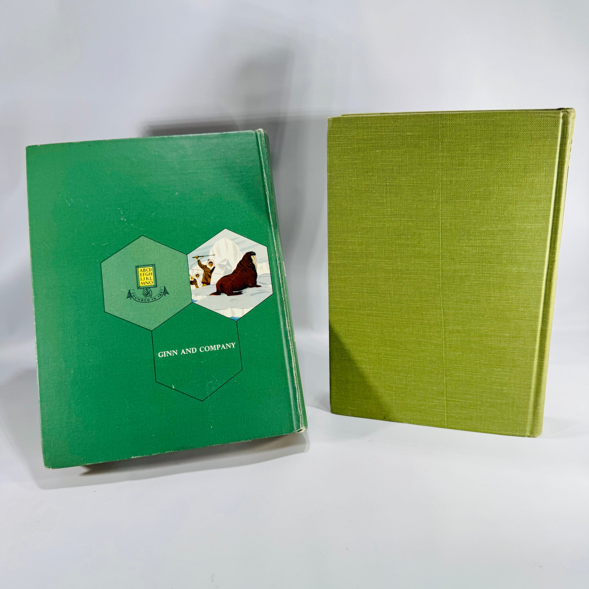 Natural History / Biology Textbook Lot — Elements of Biology (1957) + Biology: The Living World (1968) — Illustrated Hardcovers | Mid-Century Science