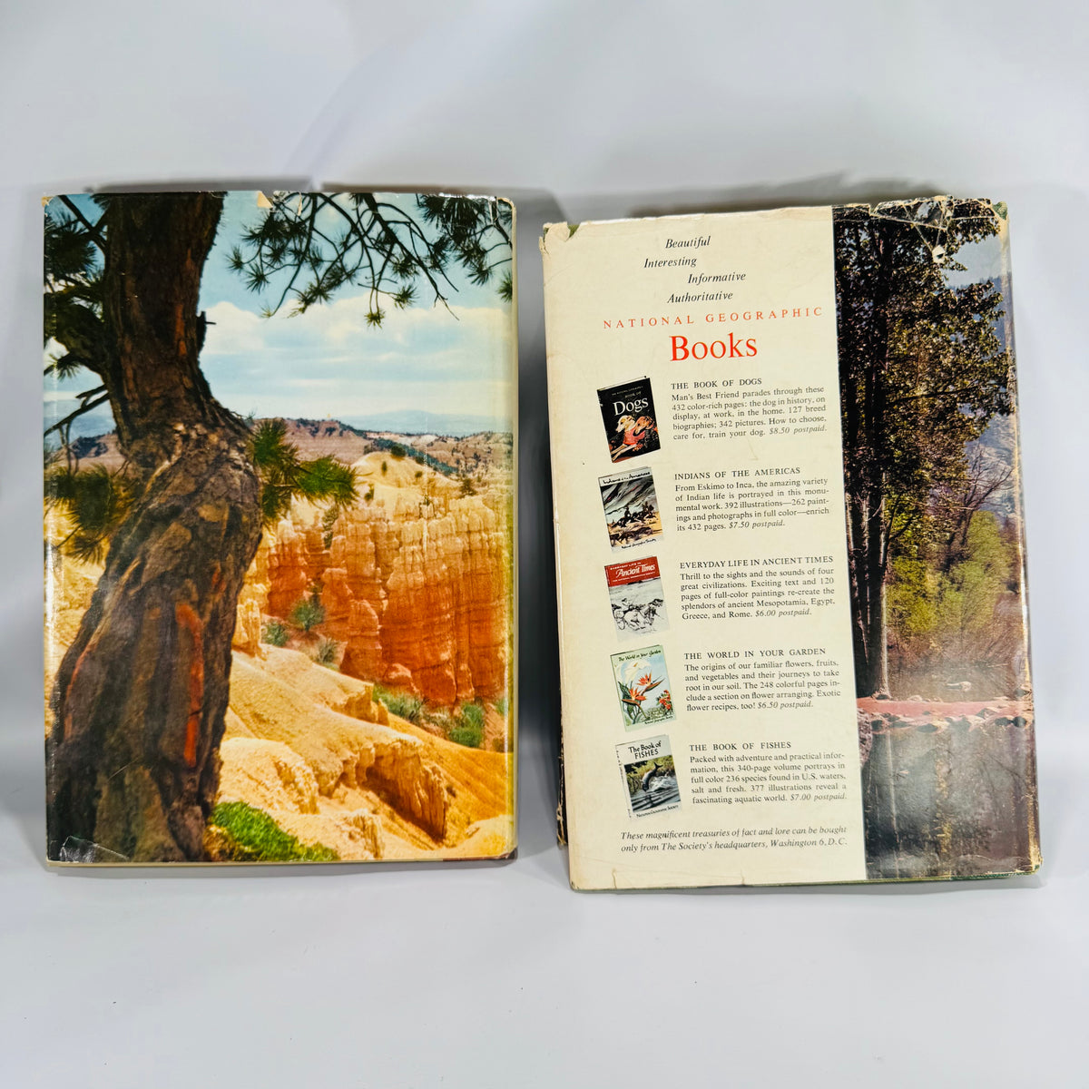 Travel & National Parks Pictorial Guides — America’s Wonderlands (1959, later printing) + Hammond’s Illustrated Travel Guide (1957, Book Club) — National Geographic & C.S. Hammond | Photo-rich, Reference, Travel & Geography