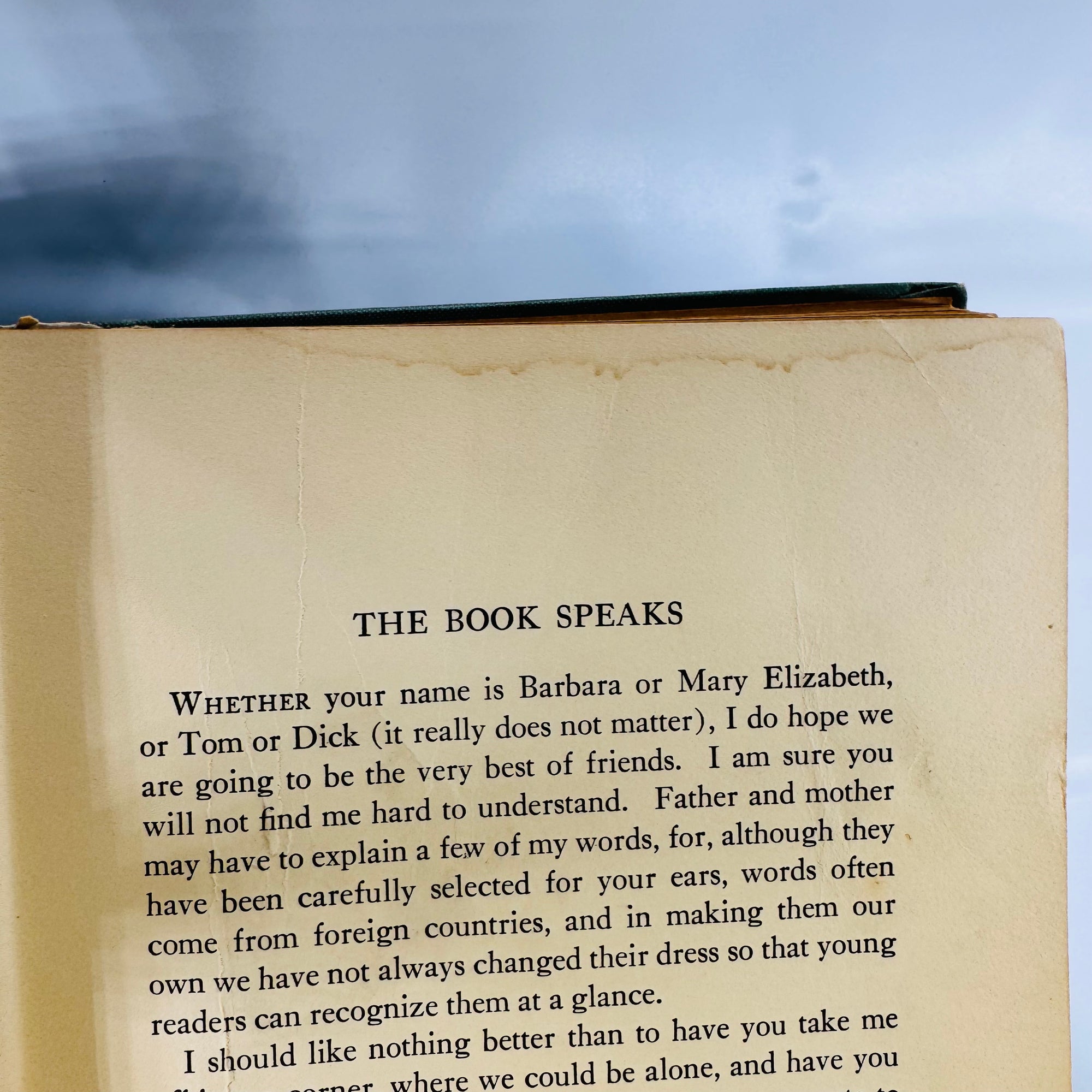 Babes in Toyland by Glen MacDonough & Anna Alice Chapin (1924), The Macaulay Company, Hardcover