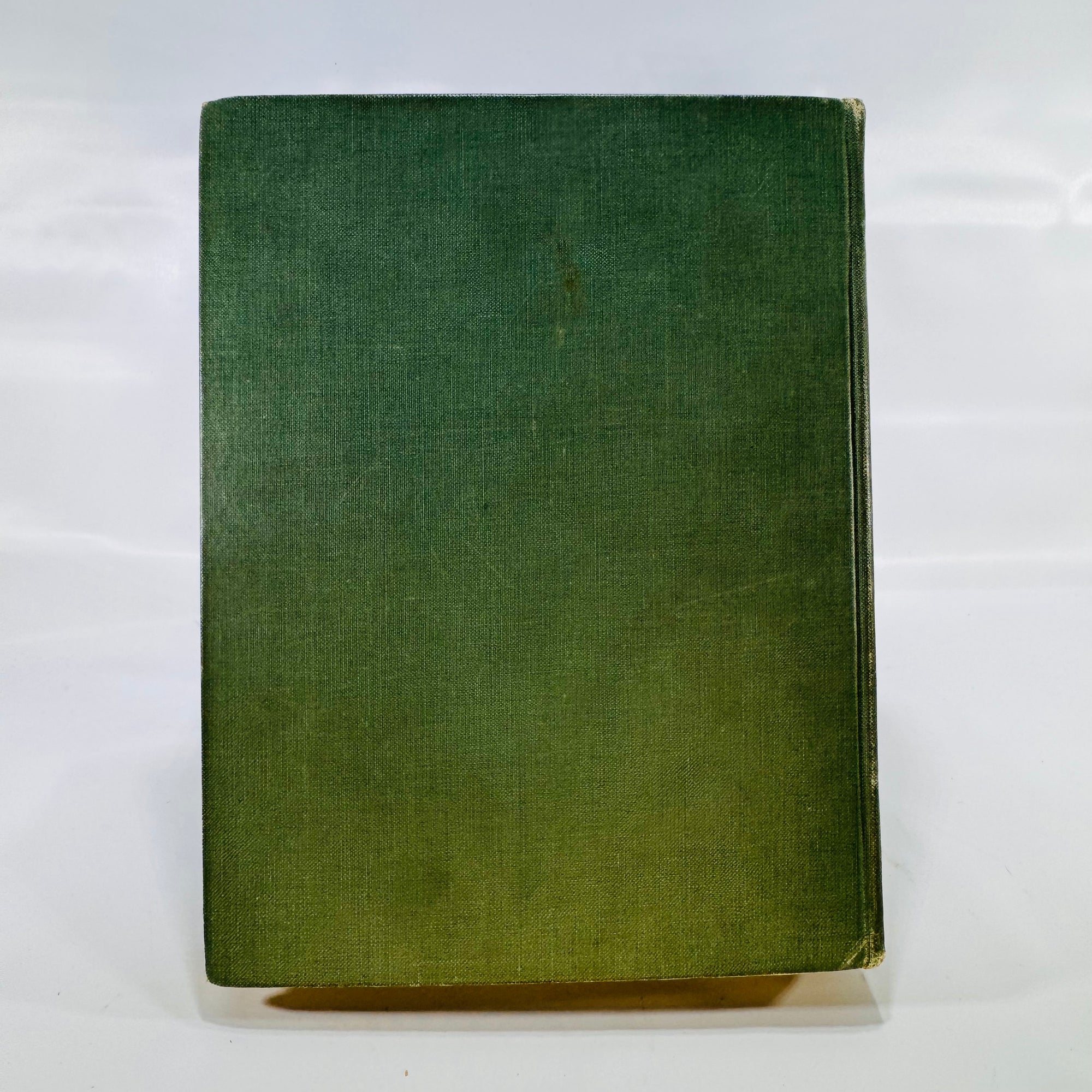 Babes in Toyland by Glen MacDonough & Anna Alice Chapin (1924), The Macaulay Company, Hardcover