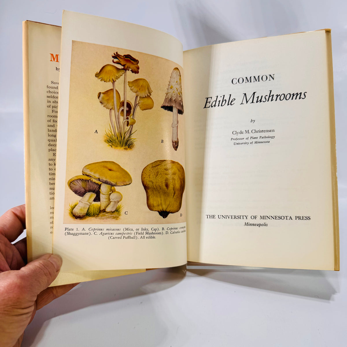 Common Edible Mushrooms by Clyde M. Christensen (1943), The University of Minnesota Press, Hardcover with Dust Jacket