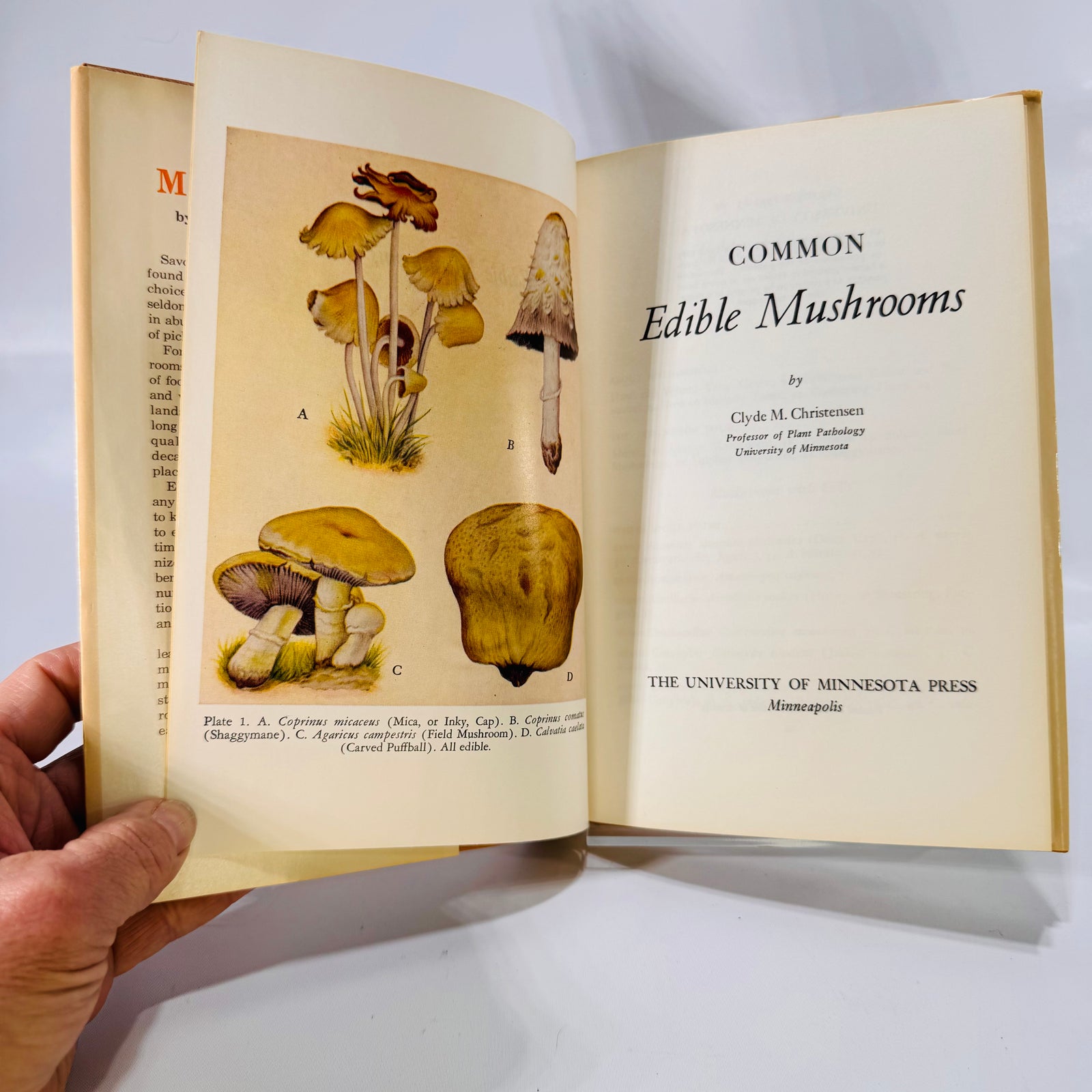 Common Edible Mushrooms by Clyde M. Christensen (1943), The University of Minnesota Press, Hardcover with Dust Jacket